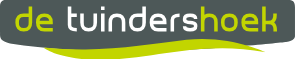 Job Kaashoek