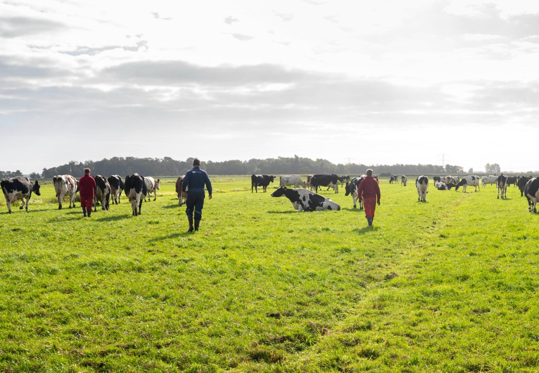 Ondernemen met de voeten in de modder