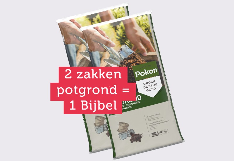 Plant een Bijbel