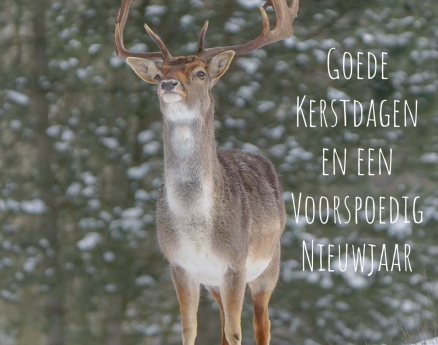 9. Hert - Goede Kerstdagen