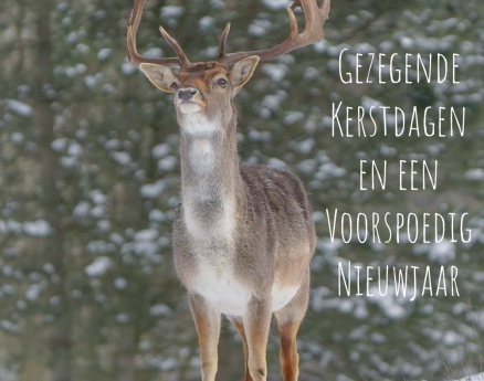 10. Hert - Gezegende Kerstdagen