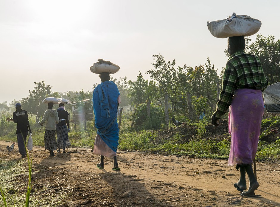 Zuid-Soedanase vrouwen sjouwen zakken voedsel naar hun hutje in het enorme vluchtelingenkamp in Oeganda. Foto: Cees van der Wal