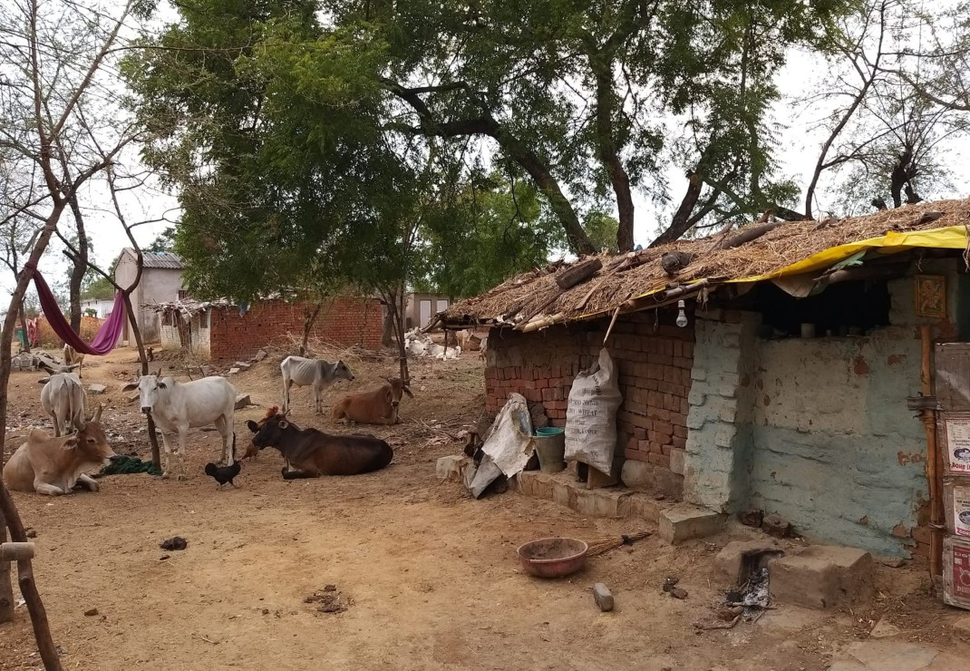 Straatbeeld in een dorpje in Chhattisgarh