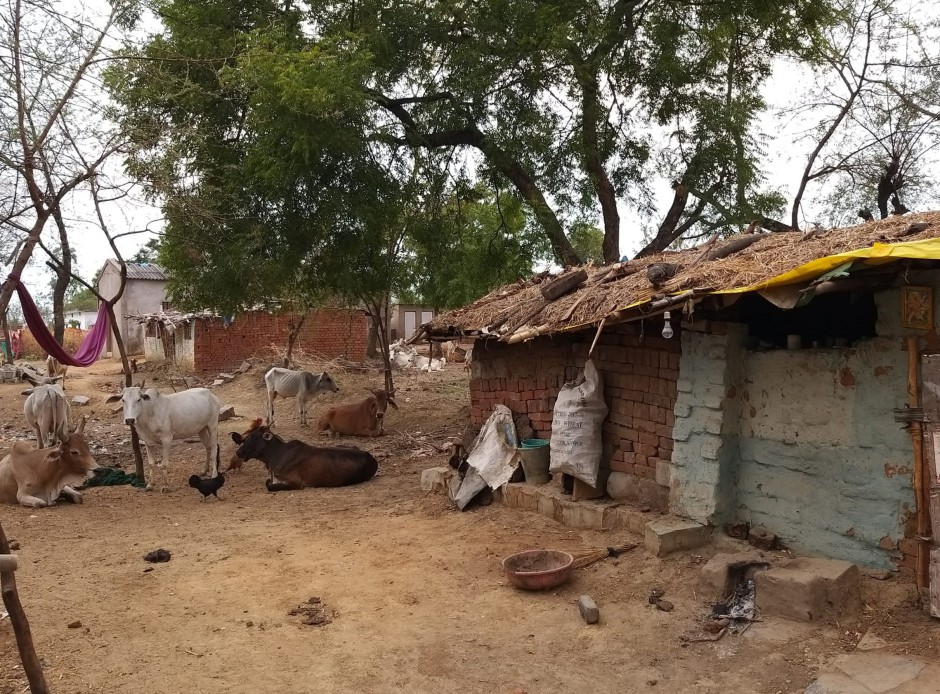 Straatbeeld in een dorpje in Chhattisgarh