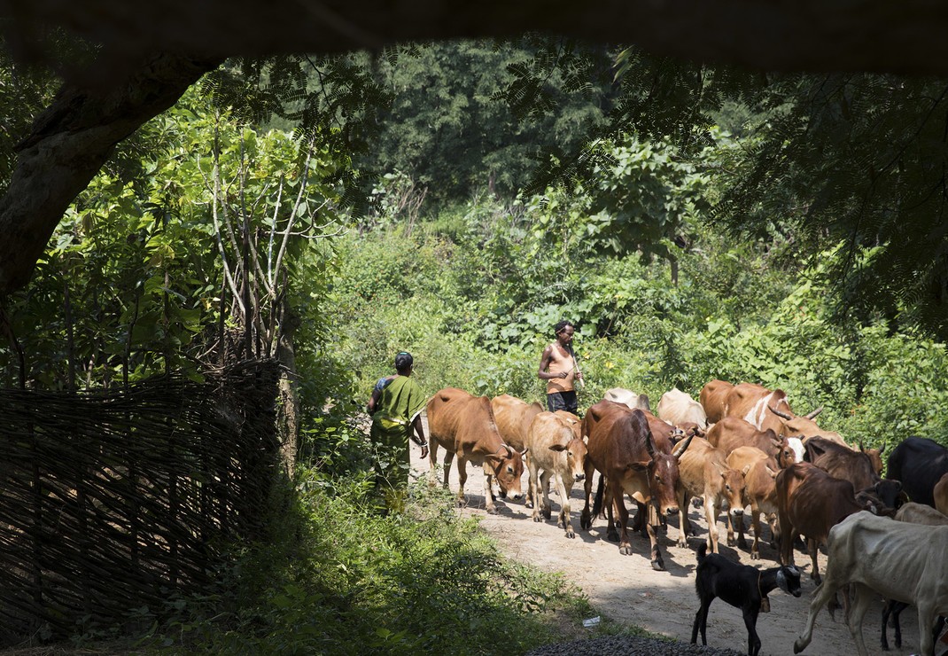 Het evangelistennetwerk van HVC bereikt de meest afgelegen plekken van India